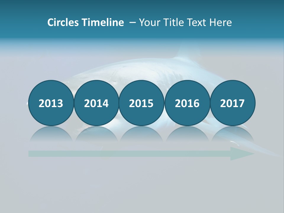 Carcharodon Carcharias Dangerous Aggressiveness PowerPoint Template