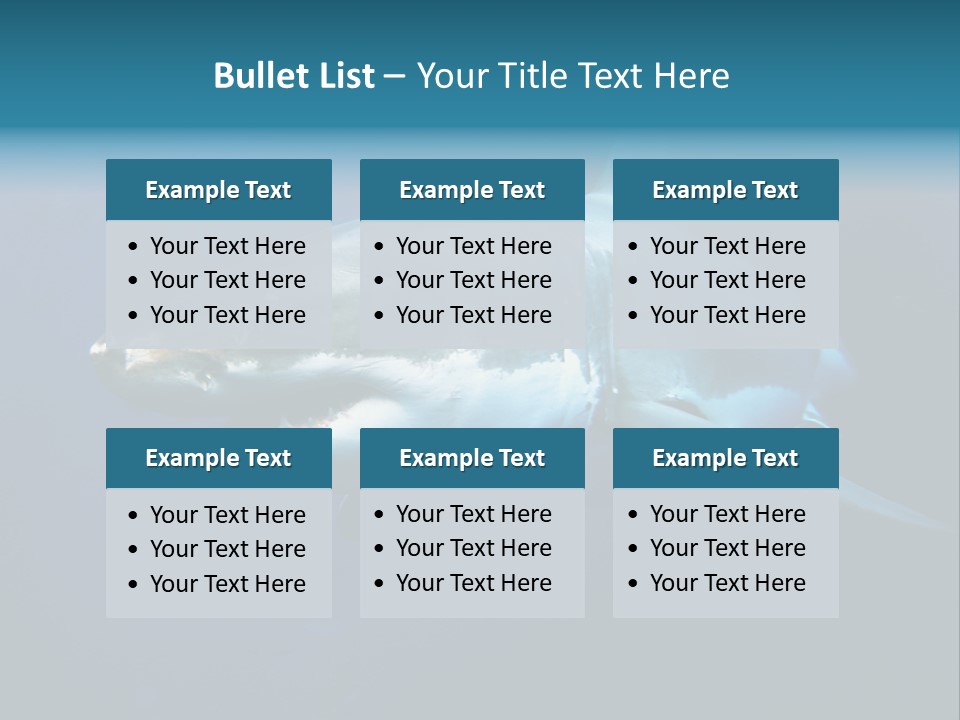 Carcharodon Carcharias Dangerous Aggressiveness PowerPoint Template