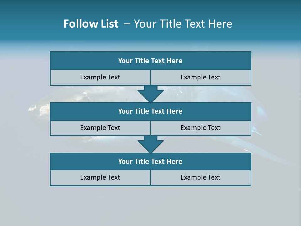 Carcharodon Carcharias Dangerous Aggressiveness PowerPoint Template