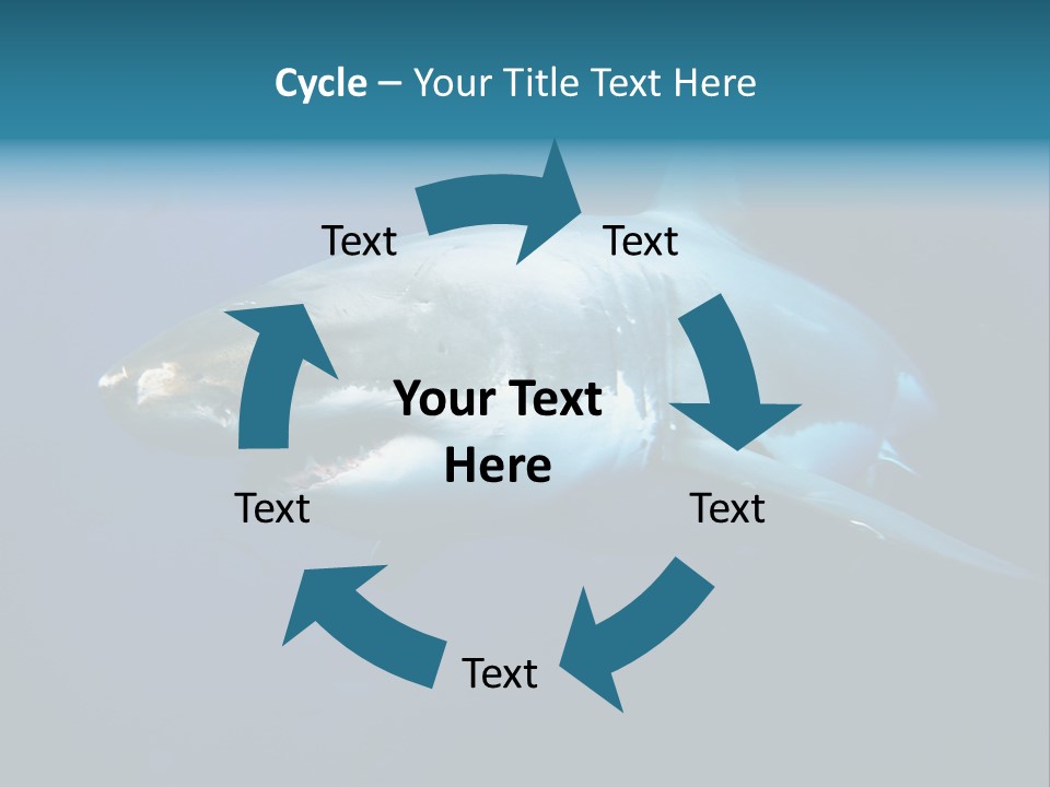 Carcharodon Carcharias Dangerous Aggressiveness PowerPoint Template