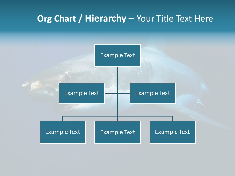 Carcharodon Carcharias Dangerous Aggressiveness PowerPoint Template