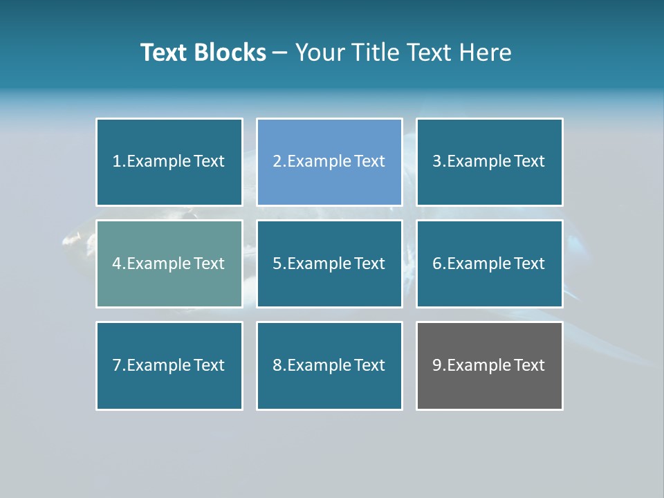 Carcharodon Carcharias Dangerous Aggressiveness PowerPoint Template
