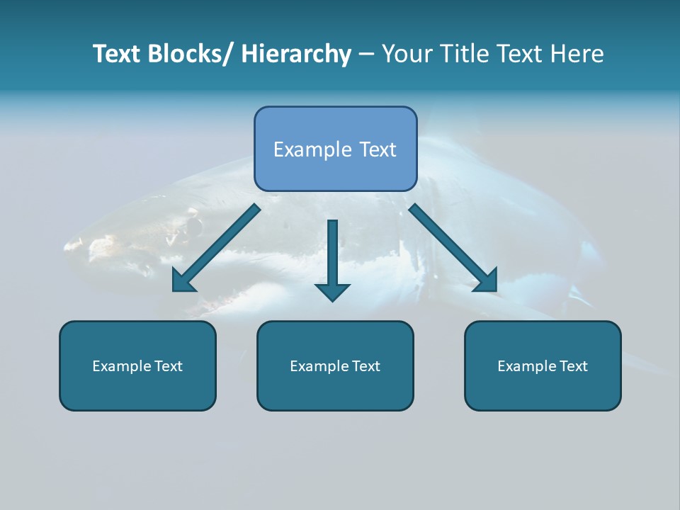 Carcharodon Carcharias Dangerous Aggressiveness PowerPoint Template