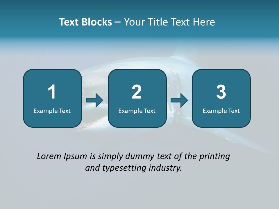 Carcharodon Carcharias Dangerous Aggressiveness PowerPoint Template