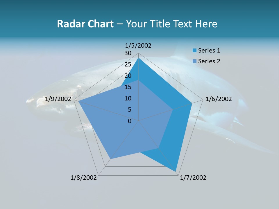 Carcharodon Carcharias Dangerous Aggressiveness PowerPoint Template