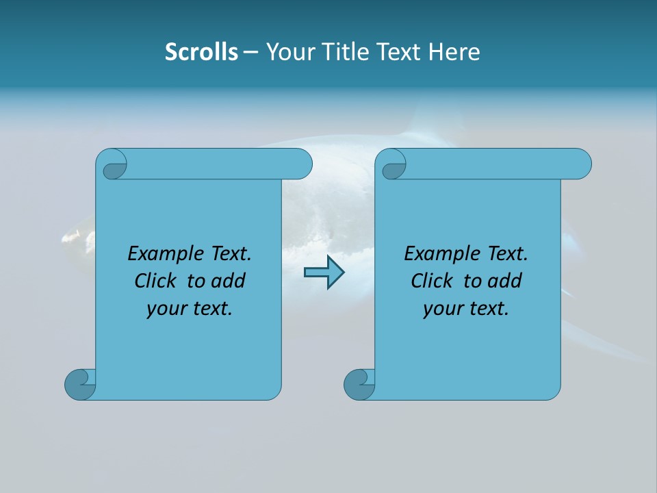 Carcharodon Carcharias Dangerous Aggressiveness PowerPoint Template