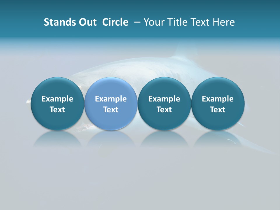 Carcharodon Carcharias Dangerous Aggressiveness PowerPoint Template