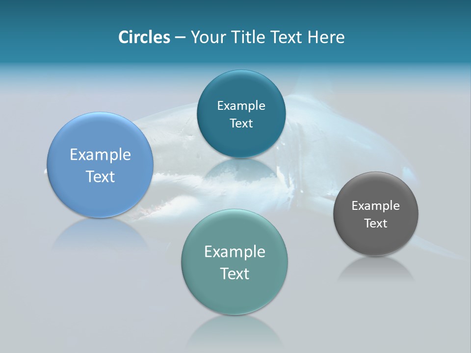 Carcharodon Carcharias Dangerous Aggressiveness PowerPoint Template