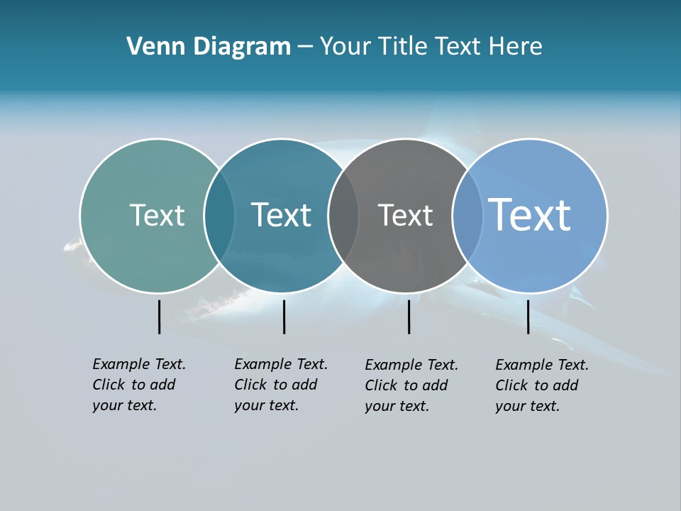Carcharodon Carcharias Dangerous Aggressiveness PowerPoint Template