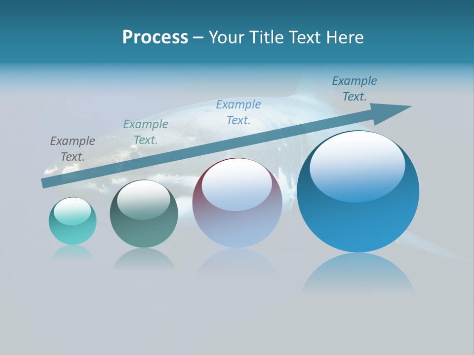 Carcharodon Carcharias Dangerous Aggressiveness PowerPoint Template