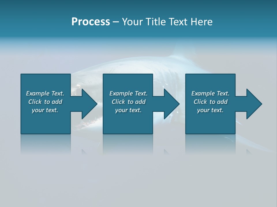 Carcharodon Carcharias Dangerous Aggressiveness PowerPoint Template