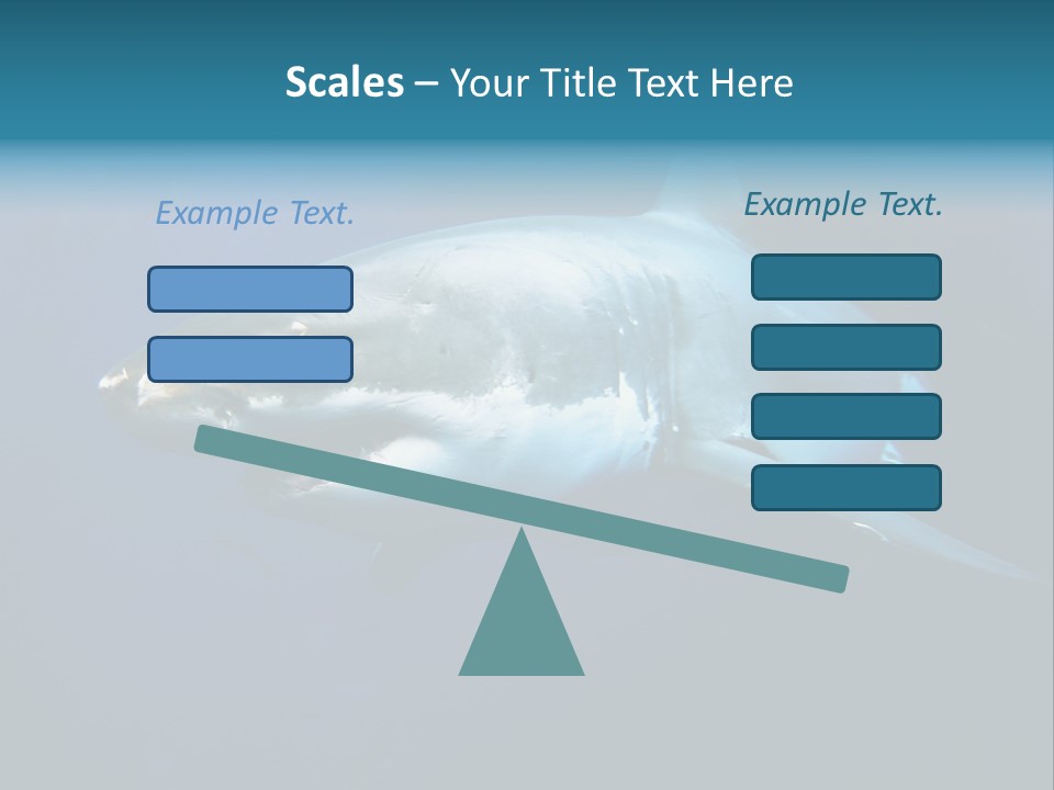 Carcharodon Carcharias Dangerous Aggressiveness PowerPoint Template