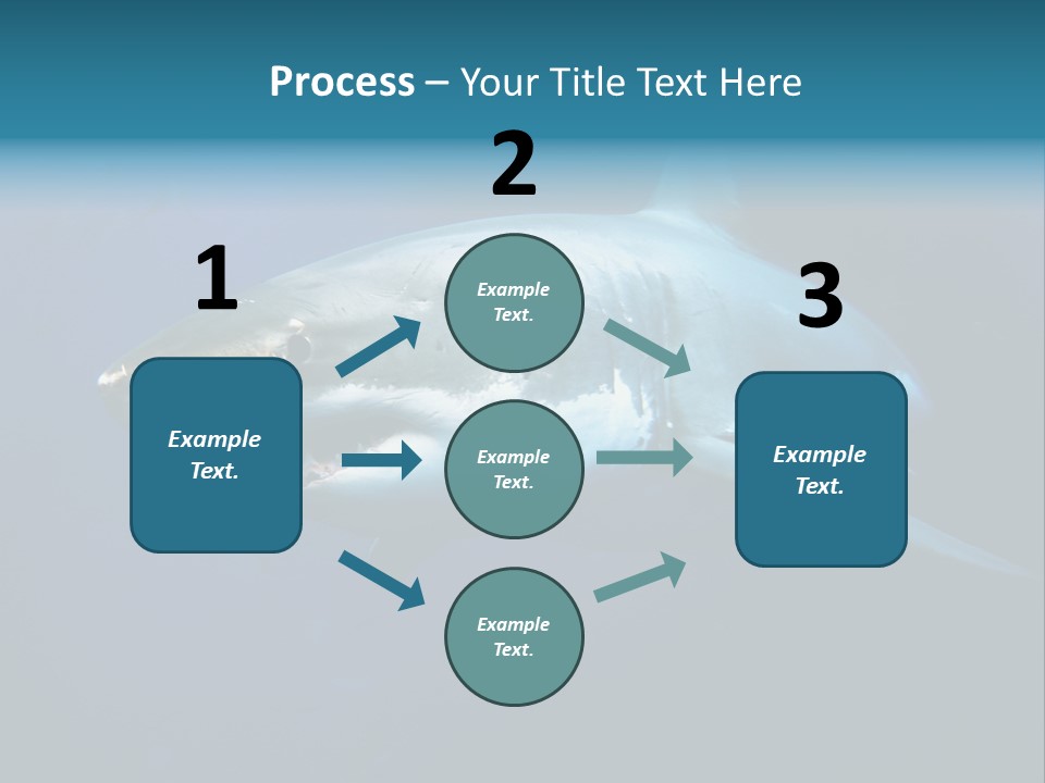 Carcharodon Carcharias Dangerous Aggressiveness PowerPoint Template