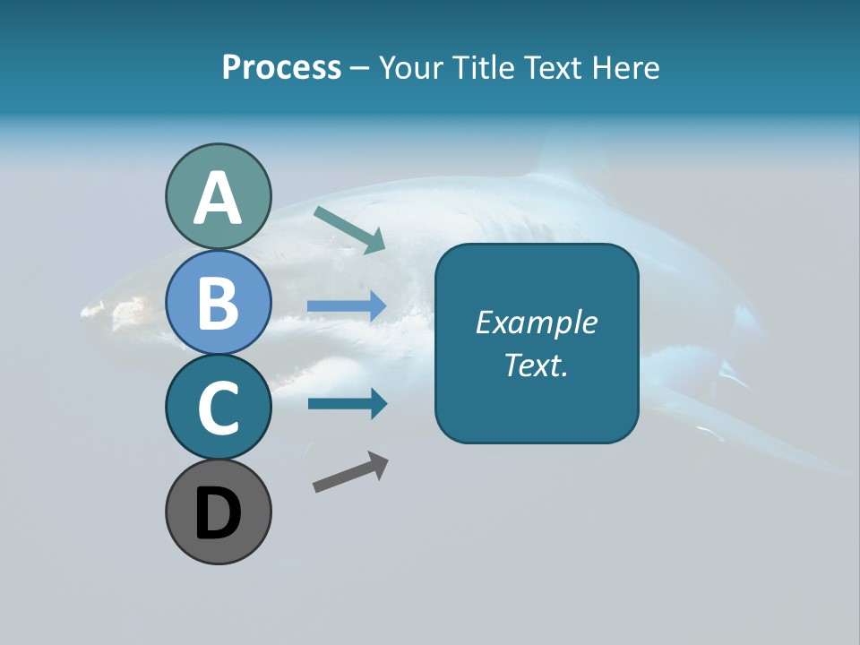 Carcharodon Carcharias Dangerous Aggressiveness PowerPoint Template