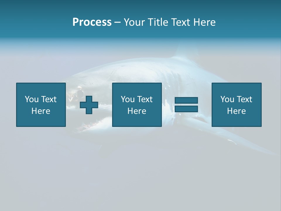 Carcharodon Carcharias Dangerous Aggressiveness PowerPoint Template