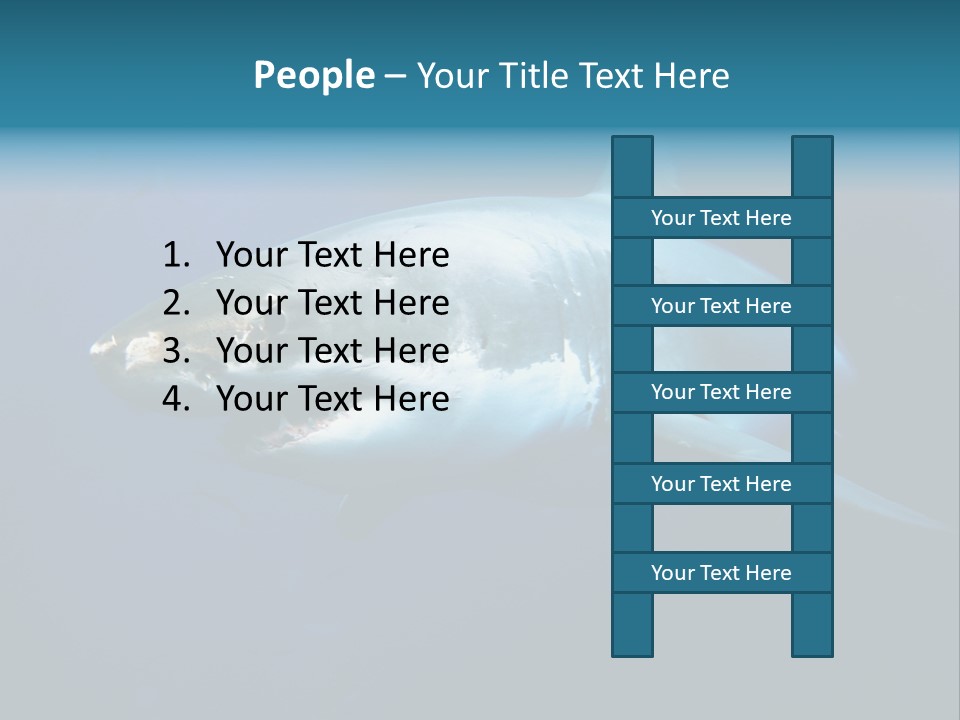 Carcharodon Carcharias Dangerous Aggressiveness PowerPoint Template
