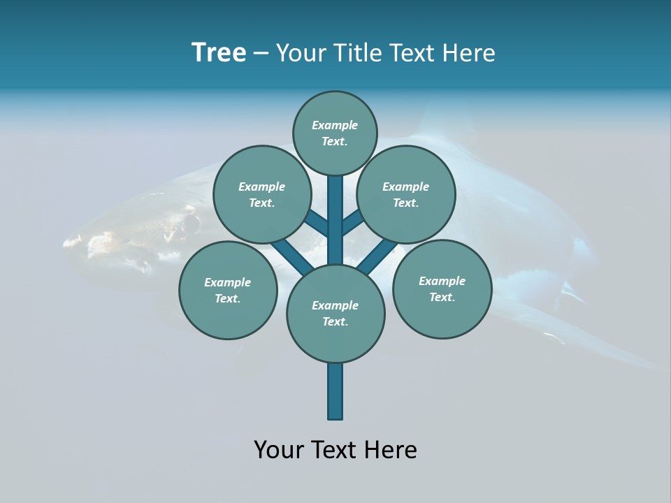 Carcharodon Carcharias Dangerous Aggressiveness PowerPoint Template