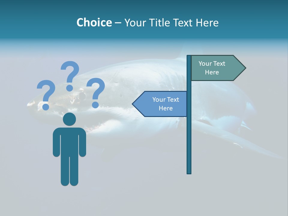 Carcharodon Carcharias Dangerous Aggressiveness PowerPoint Template