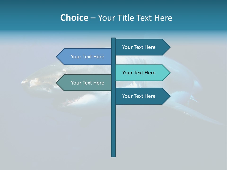 Carcharodon Carcharias Dangerous Aggressiveness PowerPoint Template