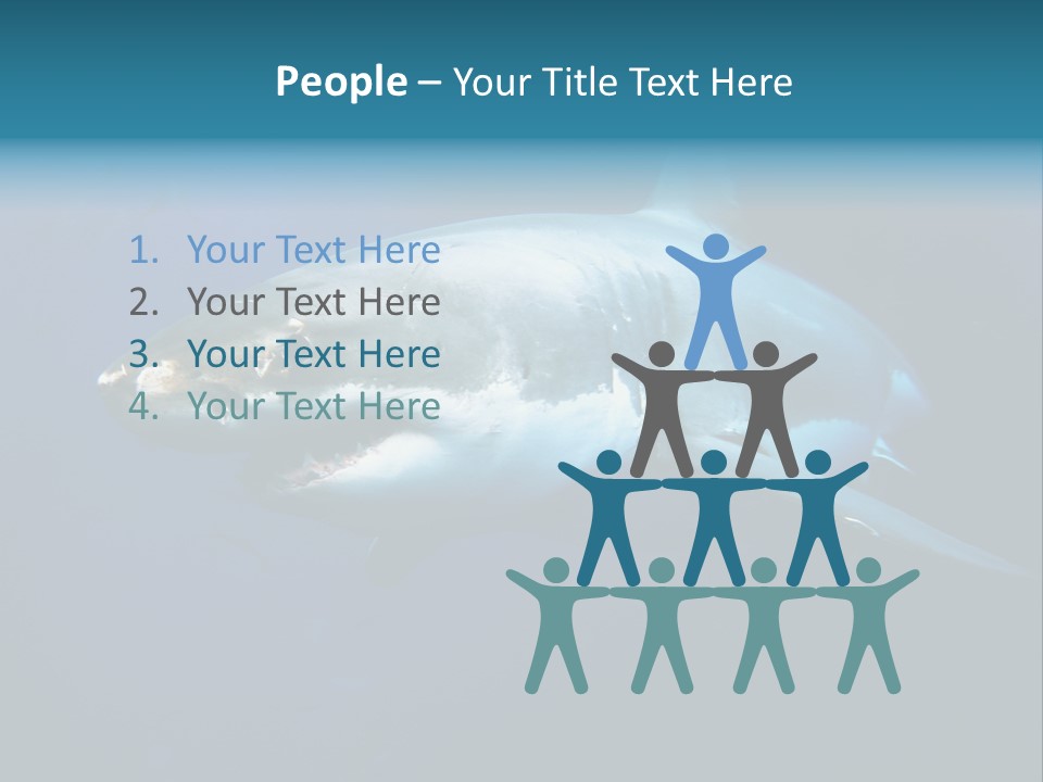 Carcharodon Carcharias Dangerous Aggressiveness PowerPoint Template