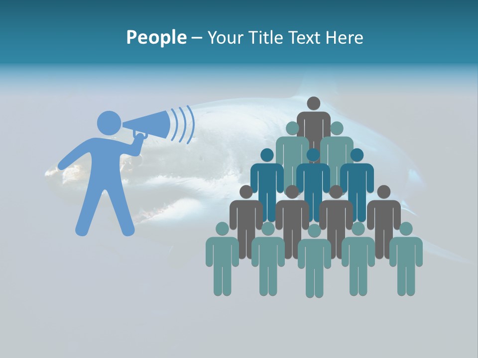 Carcharodon Carcharias Dangerous Aggressiveness PowerPoint Template