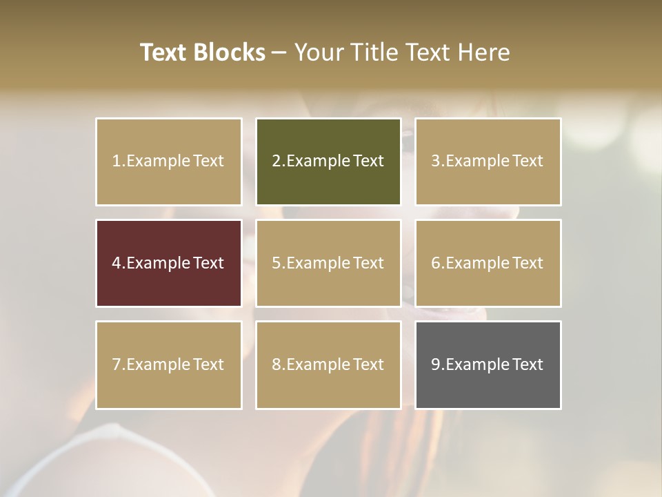 Love Summer Photography PowerPoint Template