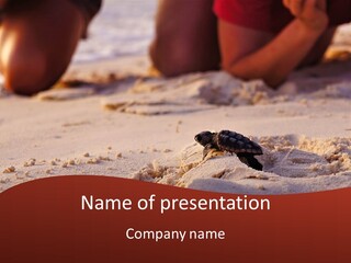 Beach Turtle Shell PowerPoint Template