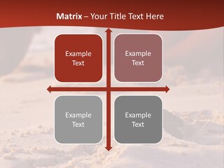 Beach Turtle Shell PowerPoint Template