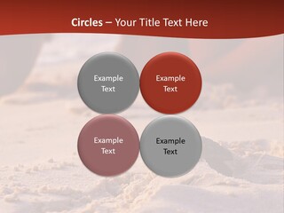 Beach Turtle Shell PowerPoint Template