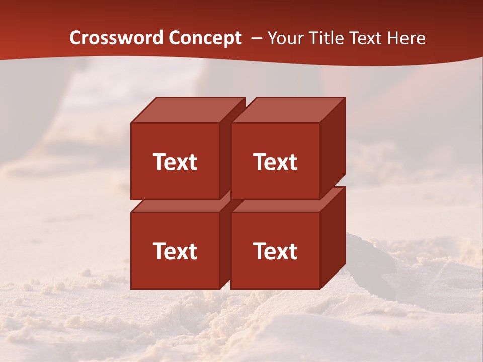 Beach Turtle Shell PowerPoint Template