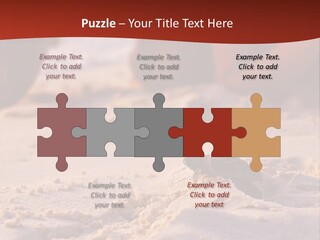 Beach Turtle Shell PowerPoint Template