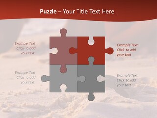 Beach Turtle Shell PowerPoint Template