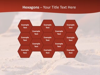 Beach Turtle Shell PowerPoint Template