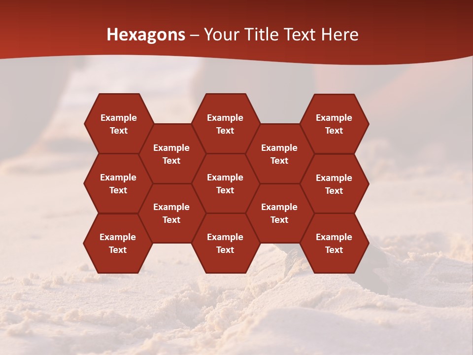 Beach Turtle Shell PowerPoint Template