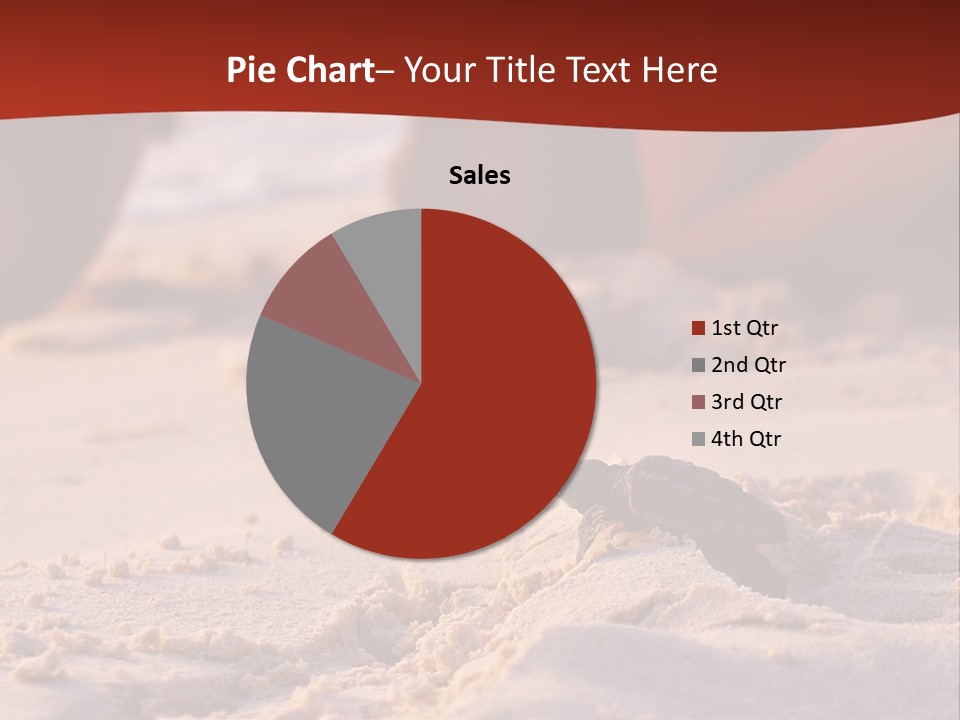 Beach Turtle Shell PowerPoint Template
