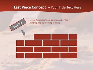 Beach Turtle Shell PowerPoint Template