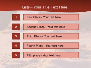 Beach Turtle Shell PowerPoint Template