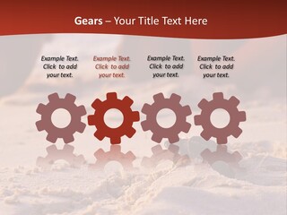 Beach Turtle Shell PowerPoint Template