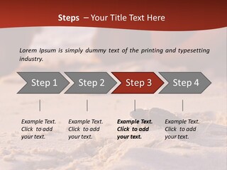 Beach Turtle Shell PowerPoint Template