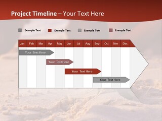 Beach Turtle Shell PowerPoint Template