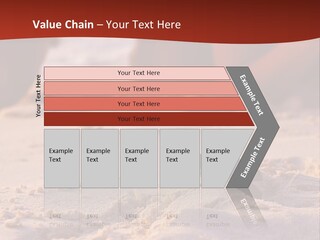 Beach Turtle Shell PowerPoint Template