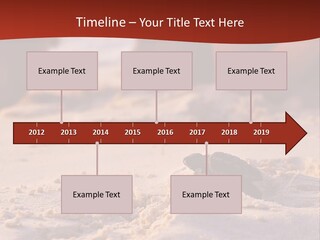 Beach Turtle Shell PowerPoint Template