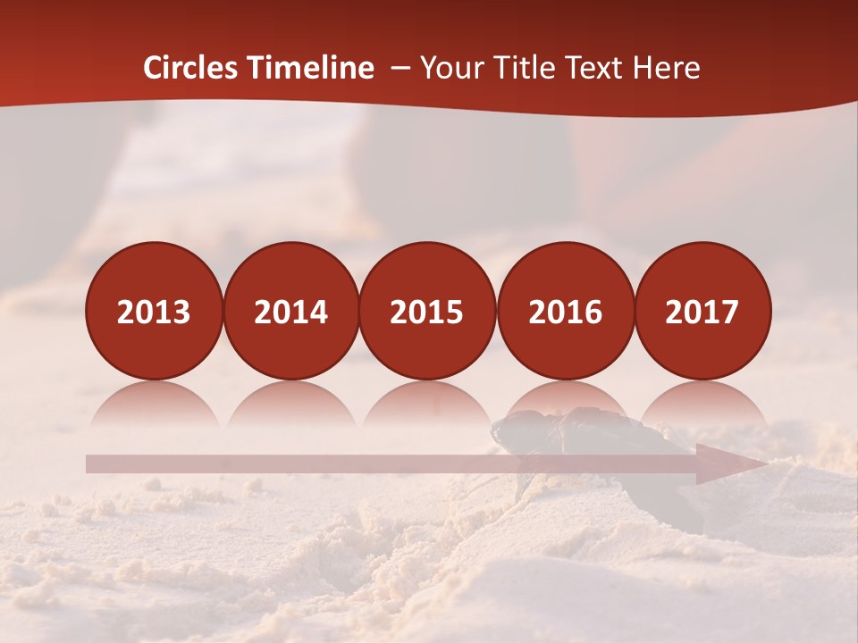 Beach Turtle Shell PowerPoint Template