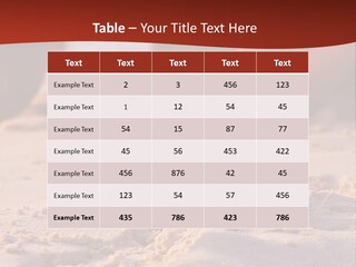 Beach Turtle Shell PowerPoint Template