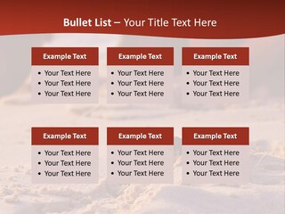 Beach Turtle Shell PowerPoint Template