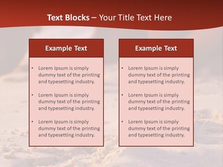Beach Turtle Shell PowerPoint Template