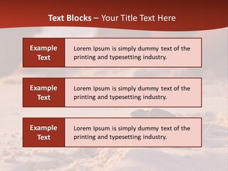 Beach Turtle Shell PowerPoint Template