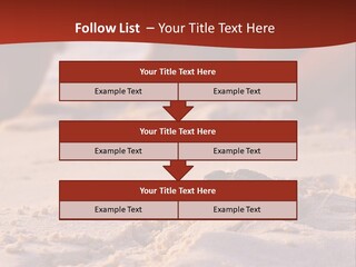 Beach Turtle Shell PowerPoint Template