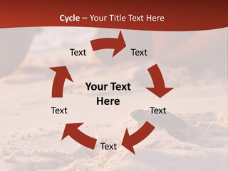 Beach Turtle Shell PowerPoint Template