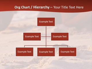 Beach Turtle Shell PowerPoint Template